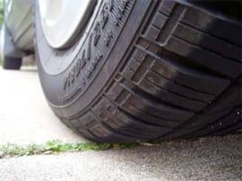 1303582680 1425510775511 jpeg