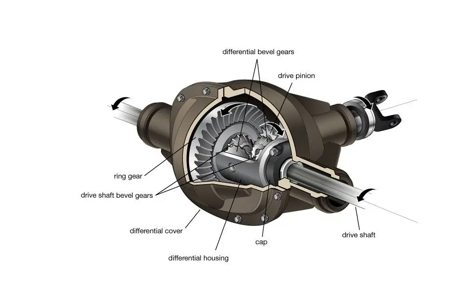 Differential