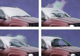 1635395496 1425510789873 jpeg