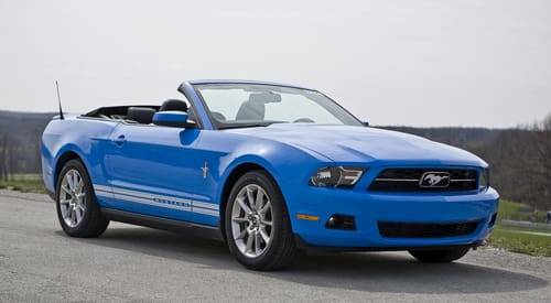 1640661095 1425510033719 jpeg