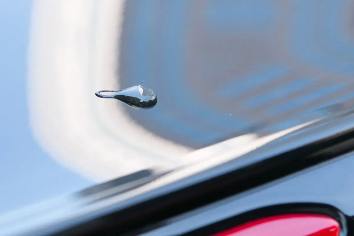 Droplet of tree sap on the body of a car