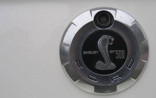 1864996188 1425510824402 jpeg