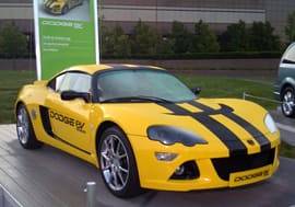 1877725033 1425510787837 jpeg