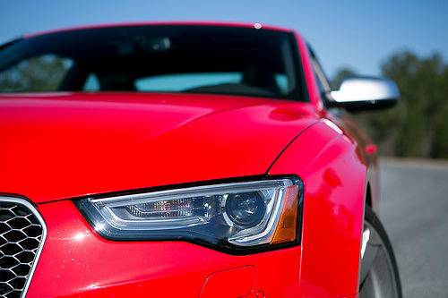 1921269656 1425511278151 jpeg