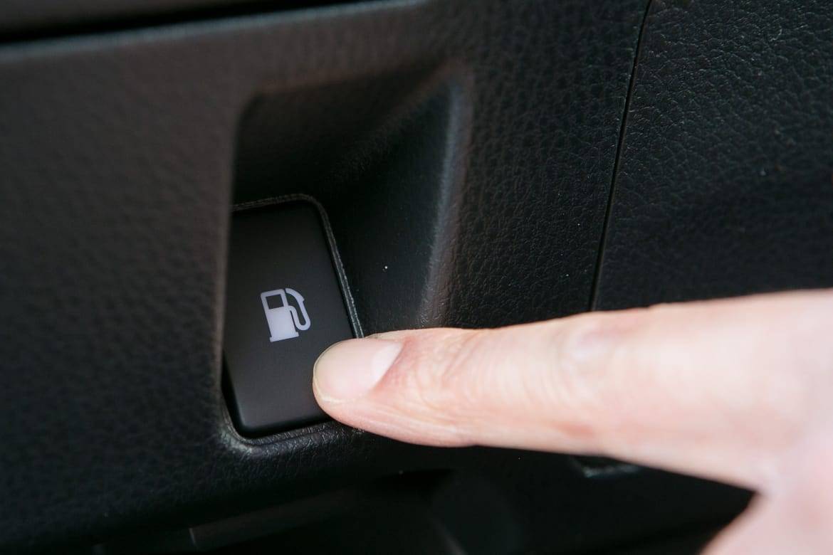 273620481 1436912718871 jpeg