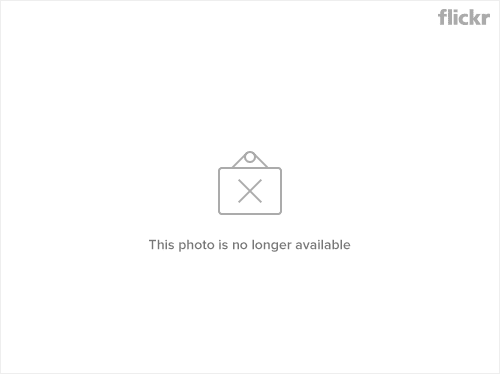 297643851 1425511262618 png