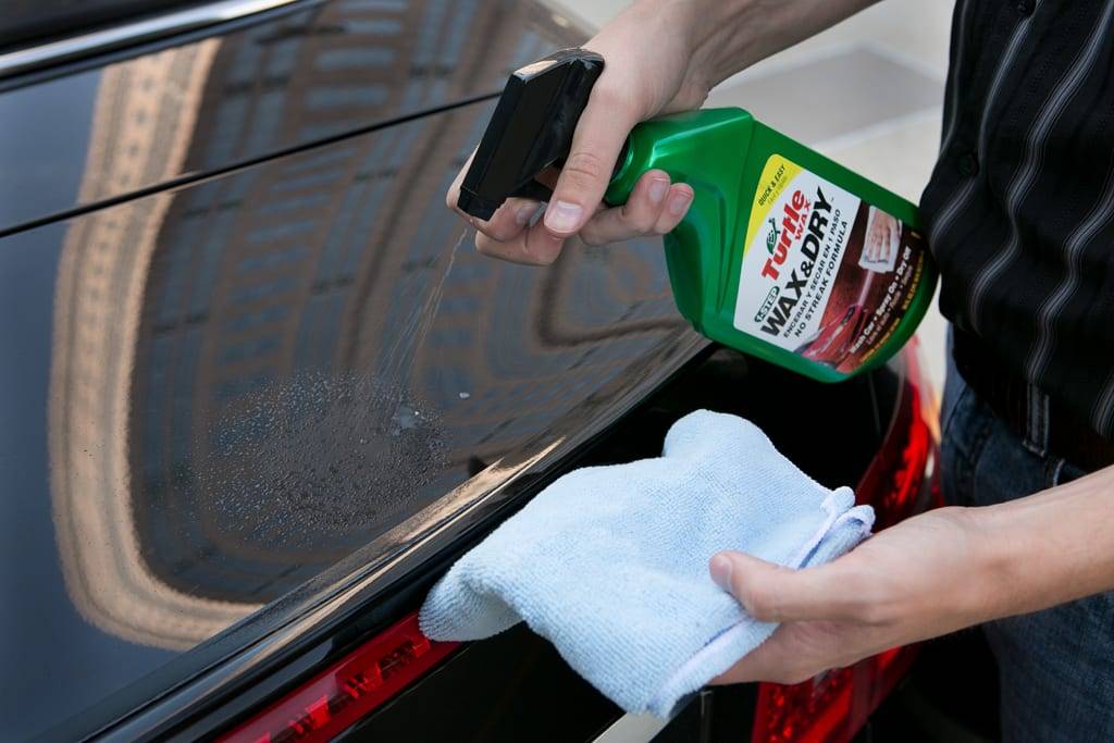 How to: Get Rid of Tree Sap on Your Car | Cars.com