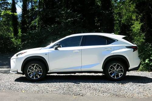 783147532 1425510611775 jpeg