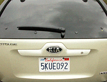 img 1360334945 1469574618231 gif