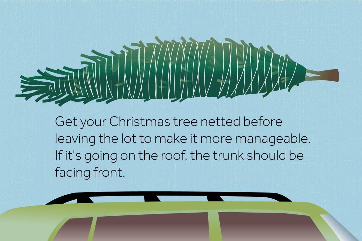 How to Transport Your Christmas Tree Safely by Car News