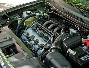 img1105588708 1469576488243 jpg