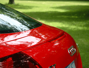 img1175685473 1469575868083 gif