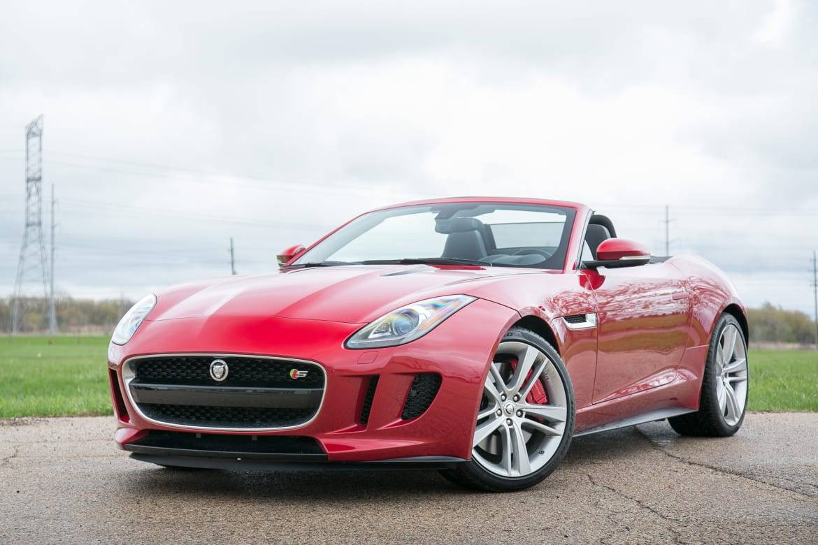 img165411251 1478895172345 jpg