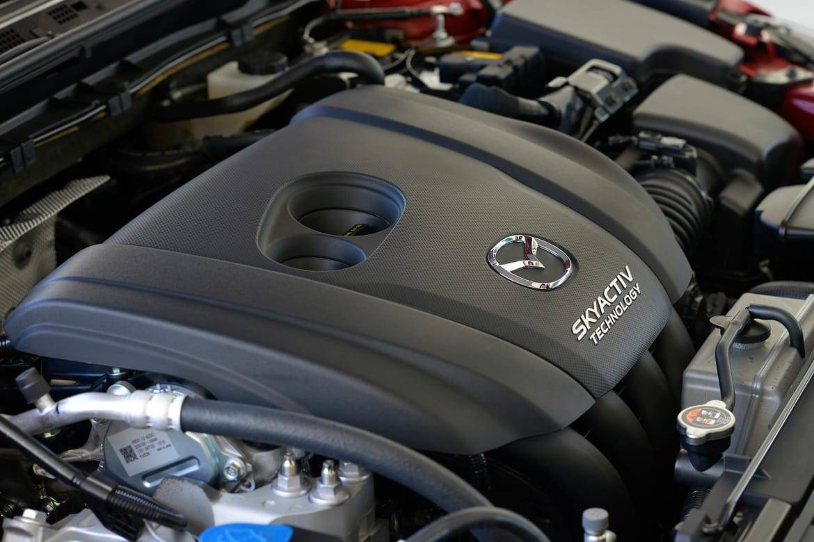 img528355430 1470753944064 jpg