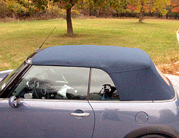 img547502438 1469574626665 gif