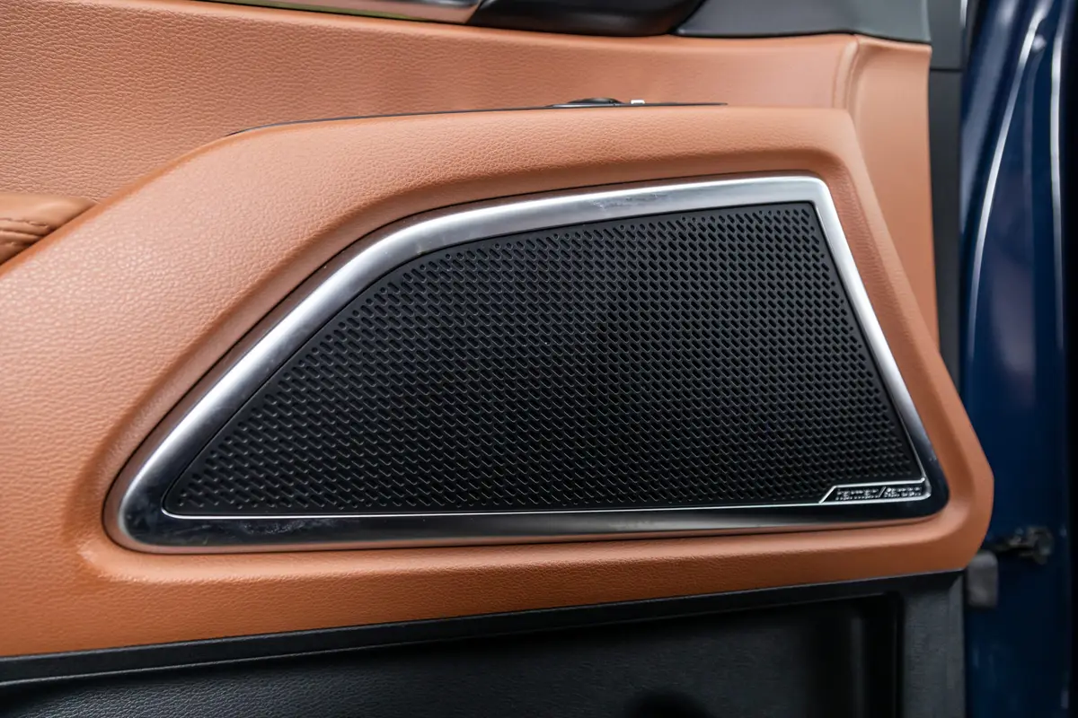 kia telluride sx prestige x pro 2025 39 interior door audio scaled jpg