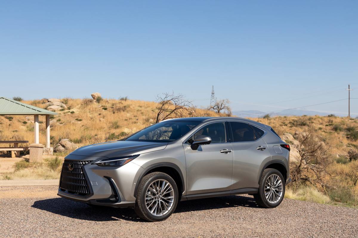 Redesigned 2022 Lexus NX 5 Things We Like and 4 We Don t News Cars com